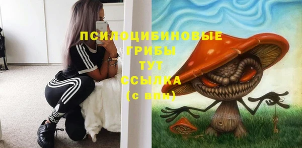 spice Армянск