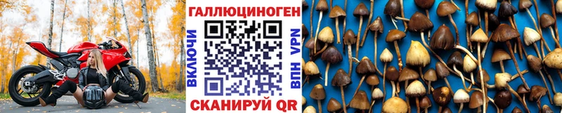 Галлюциногенные грибы Psilocybe  как найти закладки  Кубинка 